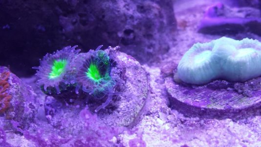 20140726_202444.jpg