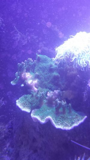 20140726_205329.jpg