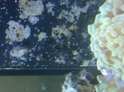 Vero Beach-20140730-00295.jpg