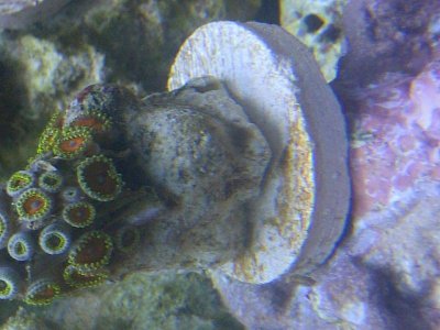 Vero Beach-20140730-00296.jpg