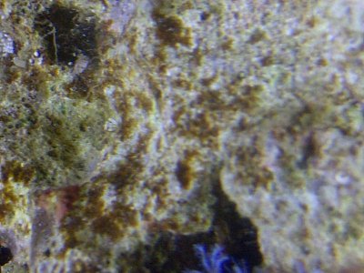 Vero Beach-20140730-00297.jpg