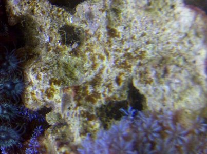 Vero Beach-20140730-00299.jpg