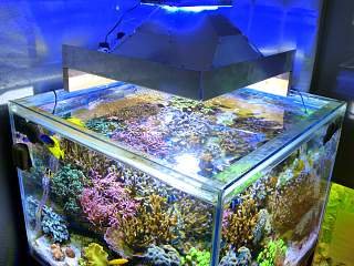 IMG0001 124.jpg