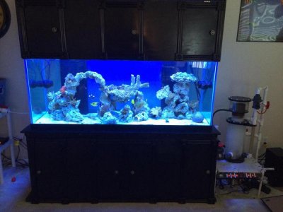 ImageUploadedByTapatalk1406806622.116784.jpg ImageUploadedByTapatalk1406806622.116784.jpg