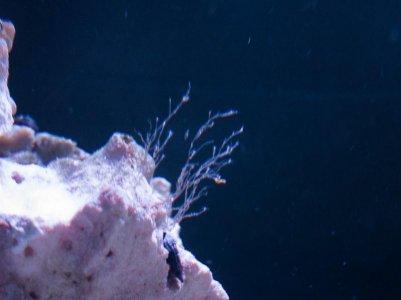 IMG_0005.jpg