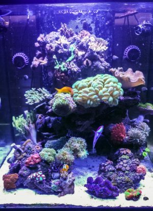 2014-07-31 15.54.jpg