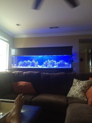 ImageUploadedByTapatalk1407019172.327260.jpg
