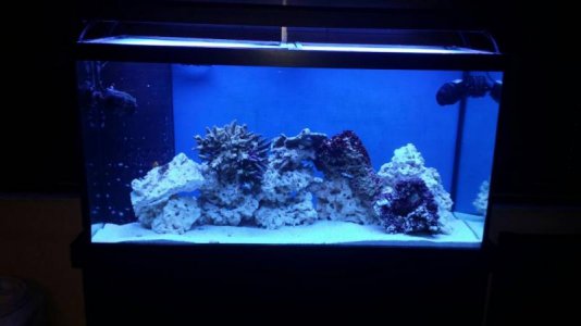 uploadfromtaptalk1407150675756.jpg uploadfromtaptalk1407150675756.jpg