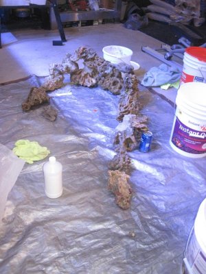 aquascpconst1.jpg