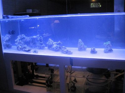 aquascapefront.jpg