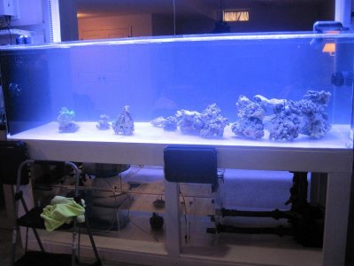 aquascapeback.jpg