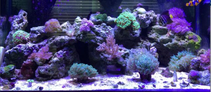 Screen Shot 2014-08-05 at 2.24.09 PM.jpg