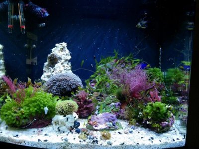 FTS.jpg
