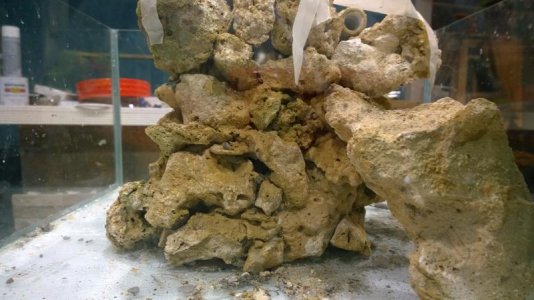 WP_20140807_23_15_36_Pro.jpg WP_20140807_23_15_36_Pro.jpg