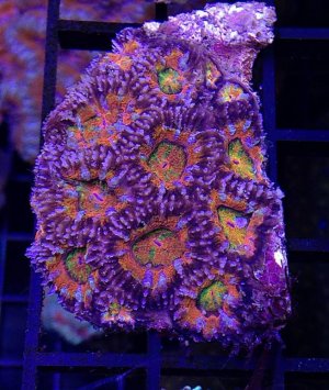 2 - $45.jpg