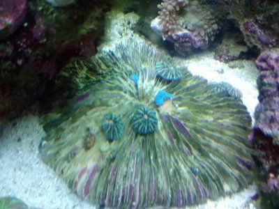 0808142113.jpg