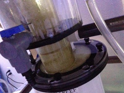 LF skimmer 1.jpg