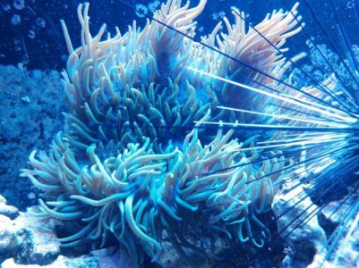 IMG_20140809_201037 (1).jpg