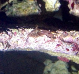 uploadfromtaptalk1407653183858.jpg uploadfromtaptalk1407653183858.jpg