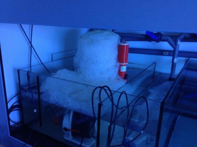 reefcubes14.jpg