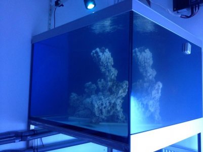 reefcubes17.jpg