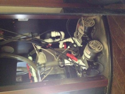 photo 5.jpg