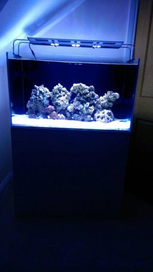 uploadfromtaptalk1407881232969.jpg uploadfromtaptalk1407881232969.jpg