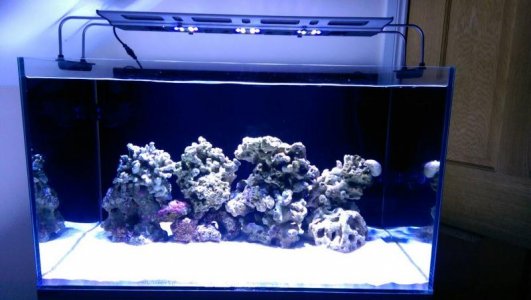 uploadfromtaptalk1407881245060.jpg uploadfromtaptalk1407881245060.jpg