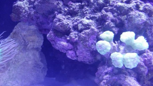 20140815_132813.jpg