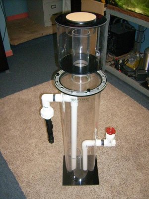 DSCI0953.jpg