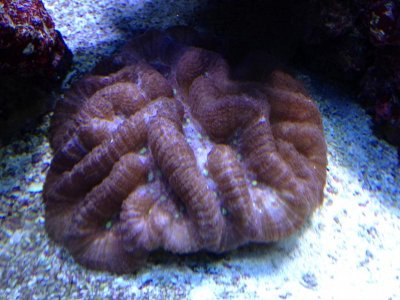 photo 1.jpg