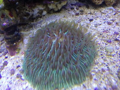 IMG_1741.JPG