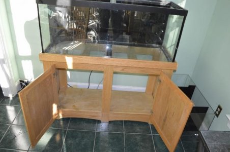 _DSC0232 (800x532).jpg _DSC0232 (800x532).jpg