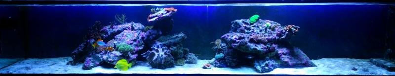 2014-08-19 14.44.17.jpg