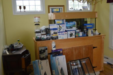 DSC_1248.jpg DSC_1248.jpg