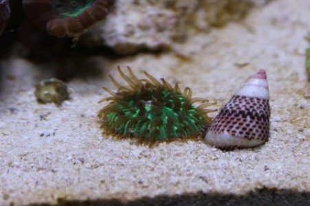 IMG_1850 (800x533).jpg