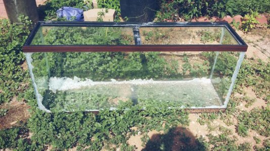 PicsArt_1408316193593.jpg PicsArt_1408316193593.jpg