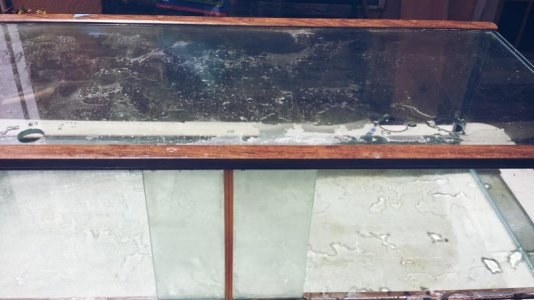 PicsArt_1408316952803.jpg PicsArt_1408316952803.jpg