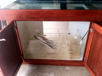 Sump.jpg