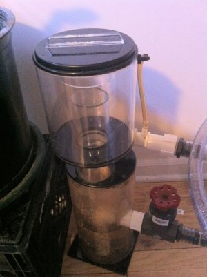 skimmer.jpg