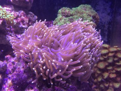 IMG_2379 (800x600).jpg