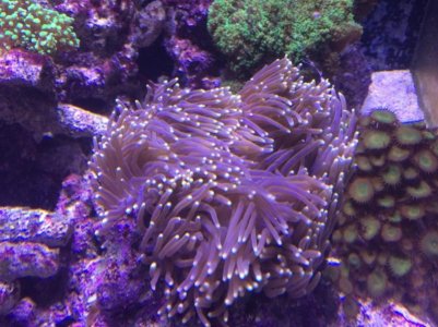 IMG_2380 (800x600).jpg