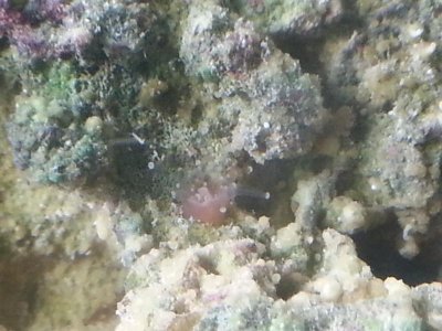 20140823_095034.jpg