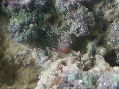20140823_095053.jpg