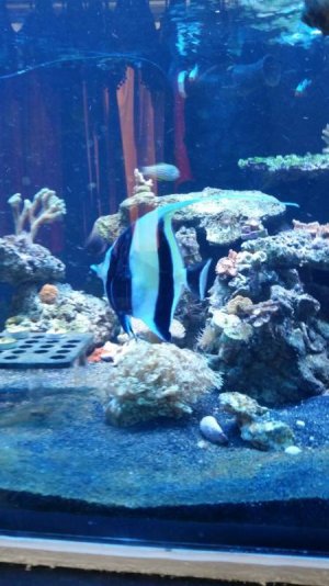 uploadfromtaptalk1408923732353.jpg uploadfromtaptalk1408923732353.jpg