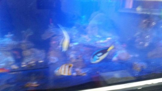 uploadfromtaptalk1408994088921.jpg uploadfromtaptalk1408994088921.jpg