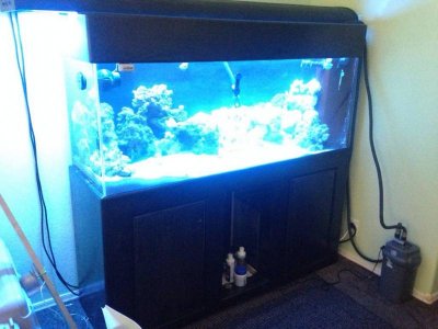 ImageUploadedByTapatalk1409095359.260443.jpg ImageUploadedByTapatalk1409095359.260443.jpg