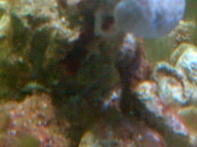 IMG-20140827-00026 (3).jpg