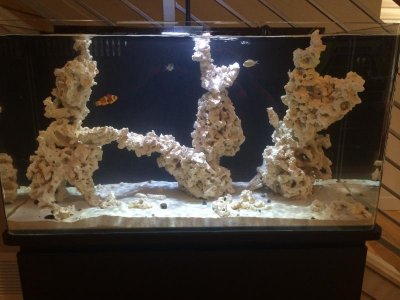 IMG_1868.jpg
