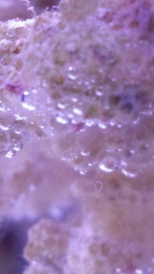 20140829_155840 (1).jpg